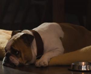 Bavaria Cafe De Kroeg Hond uitlaten Bavaria Cafe De Kroeg Hond uitlaten